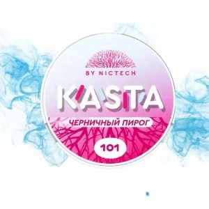 Снюс KASTA Черничный пирог снюс KASTA