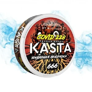 Снюс KASTA Имбирная лихорадка снюс KASTA
